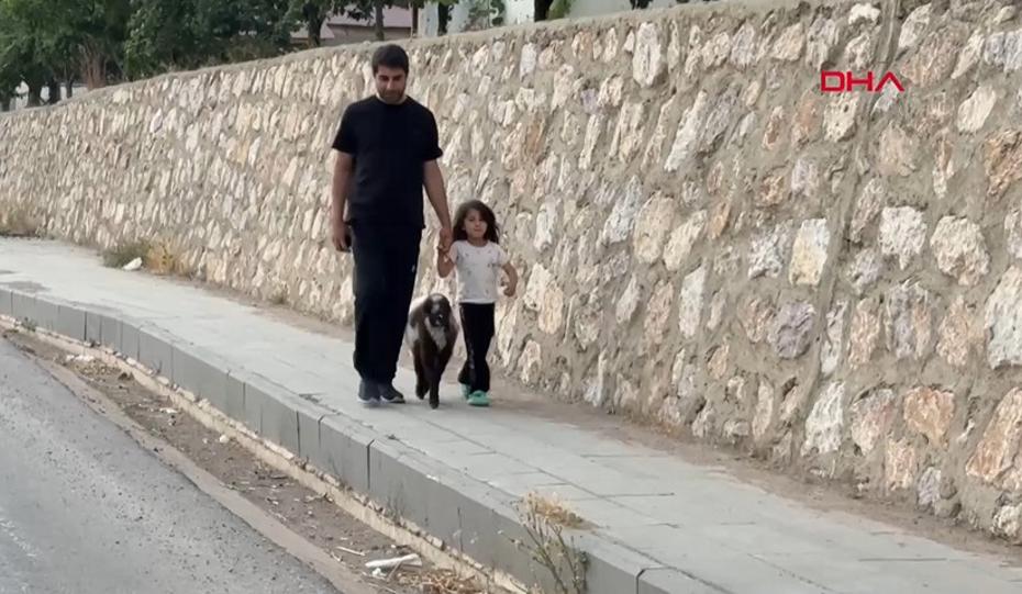 Annesiz Kalan Kuzuyu Şefkatle Büyüten Güçlü Bağlar