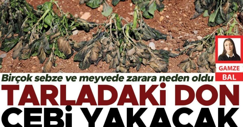 Alanda Don Cep – BigPara Ekonomik Haberleri