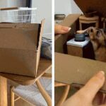 Google açıkladı, yeni dönem başladı! Veo 3'lü fotoğraflar şimdi bir videoya dönüşüyor