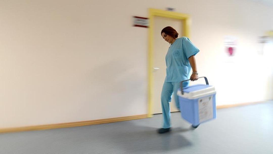 Organ Bağışında Yeni Dijital Dönem: Bağış dönemi e-devlet ve e-posta yoluyla başlar! 2