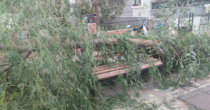 İzmir'deki devrilmiş ağacın altında iki kişi yaralandı