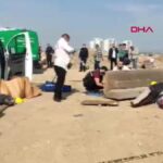 Mersin'de vahşet! Çekyatın içinde ipe sarılı halde bulundu; bu, kötü koku yaymaması için yapılmıştı.