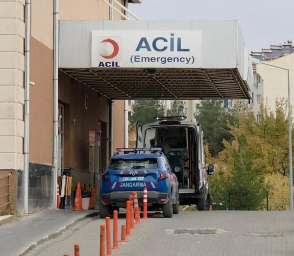 Diyarbakır’da Damat Kanlı Bir Saldırı Gerçekleştirdi: Kayınpeder ve Kayınbirader Hayatını Kaybetti